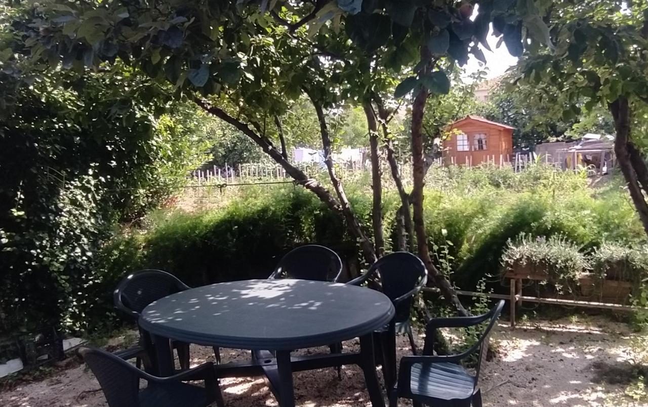Apartman Greta Sukošan Zewnętrze zdjęcie